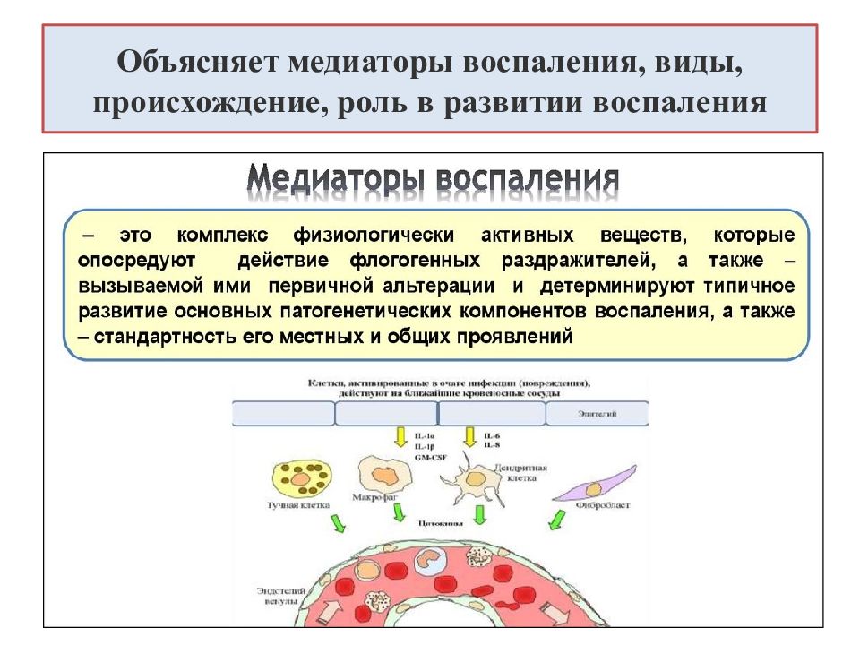 Медиаторы воспаления это. Механизмы медиаторов воспаления. Воспаление медиаторы воспаления. Медиаторы воспаления производные комплемента. Роль медиаторов в развитии воспаления.