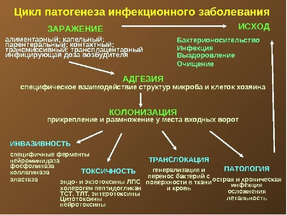 Презентация этиология и патогенез