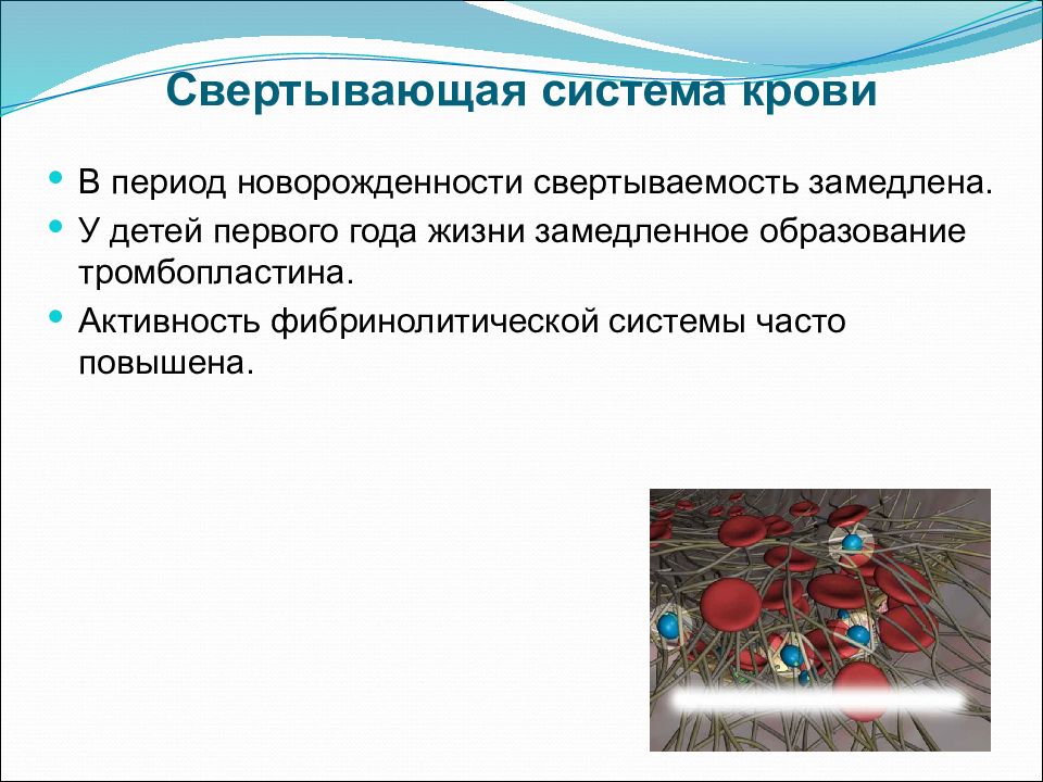 Анатомо физиологические особенности органов кроветворения у детей презентация