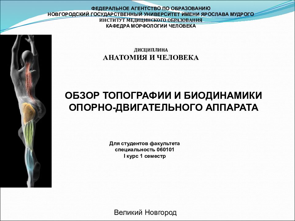 ОБЗОР ТОПОГРАФИИ И БИОДИНАМИКИ ОПОРНО-ДВИГАТЕЛЬНОГО АППАРАТА ФЕДЕРАЛЬНОЕ