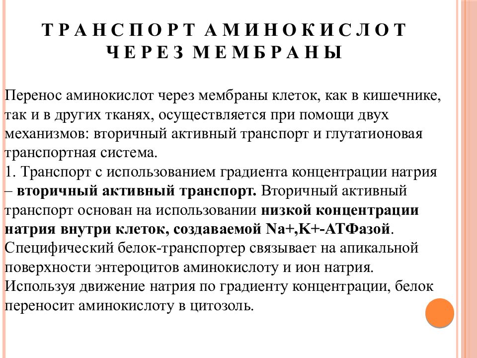 Перенос аминокислот. Транспорт аминокислот через клеточные мембраны. Механизмы транспорта аминокислот через клеточные мембраны. Транспорт аминокислот через клеточные мембраны биохимия. Транспортные системы аминокислот.