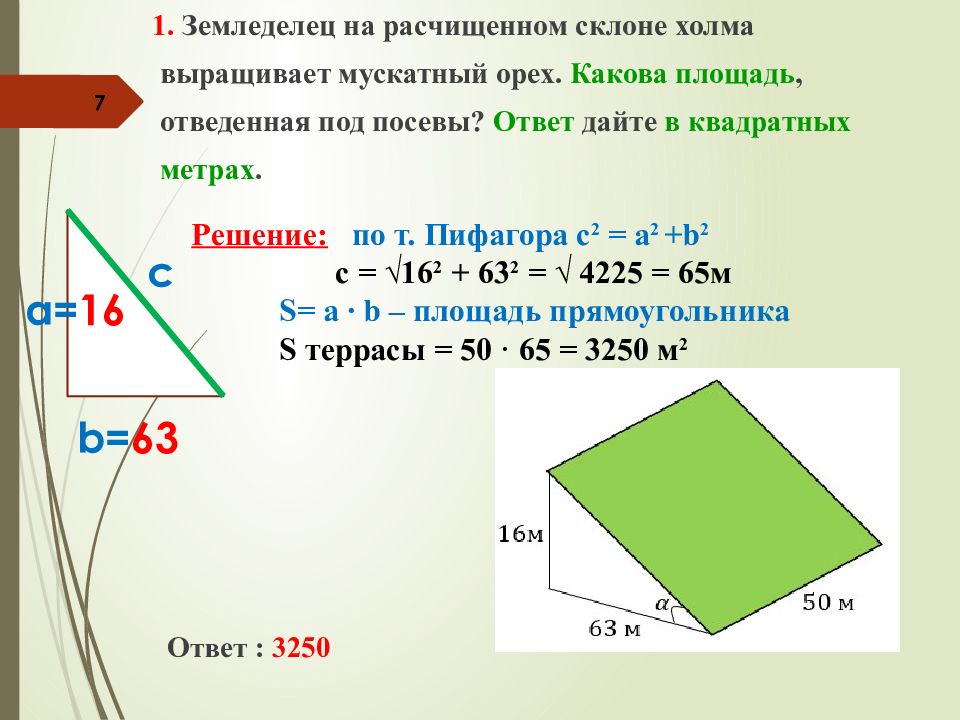 Какова площадь в ответ. Площадь наклонного участка. Какова площадь отведенная под посевы. Земледелец на расчищенном склоне холма. Землевладелец на расчищенном склоне холма выращивает мускатный орех.