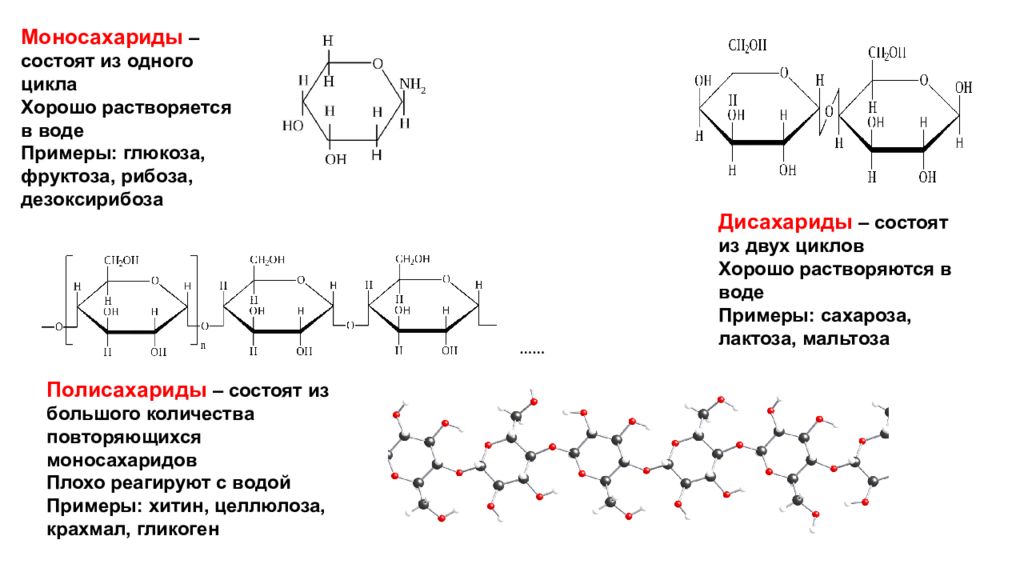 Хитин стенка. Крахмал Целлюлоза гликоген хитин. Полисахариды крахмал гликоген Целлюлоза хитин. Полисахариды Целлюлоза хитин. Хитин это полисахарид или моносахарид.