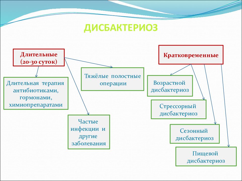 Экология микроорганизмов презентация