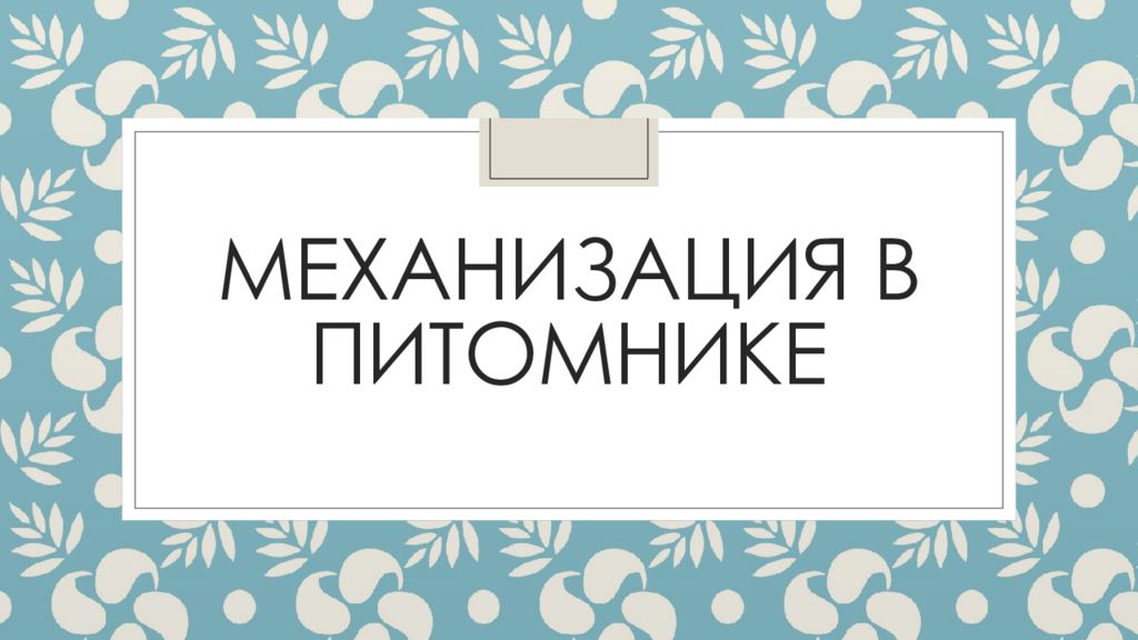 Механизация в питомнике