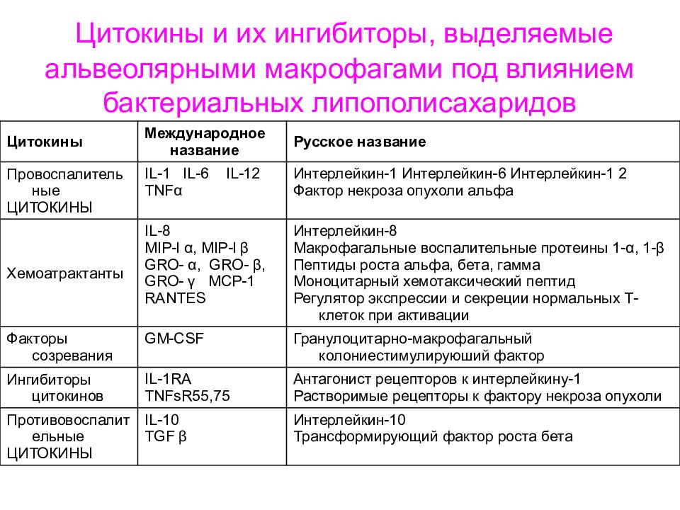 Хронический бронхит лечение у пожилых женщин препараты схема лечения