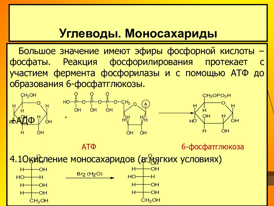 Липиды омыляемые презентация