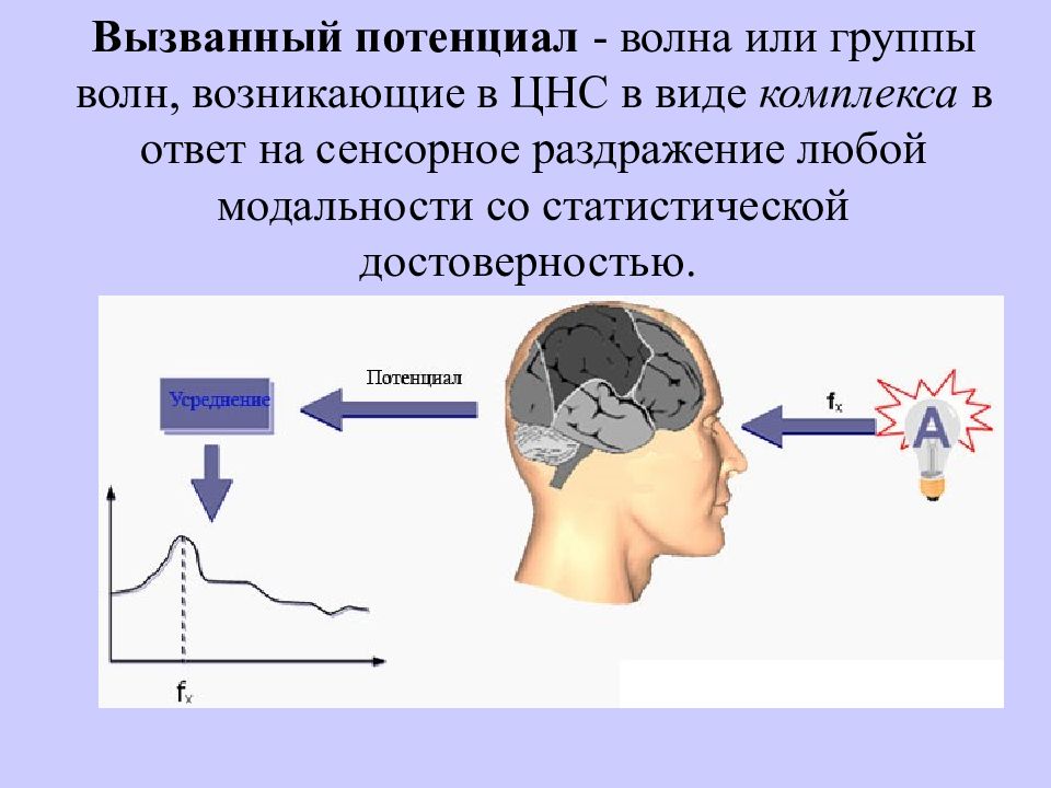 Зрительные вызванные потенциалы