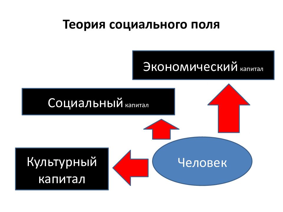 Социальное поле. Социальные теории. Теория социального выбора. Экономические социальные группы.