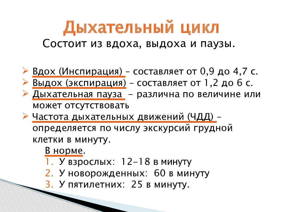 Дыхательный цикл. Перечислите фазы дыхательного цикла:. Какова Продолжительность фаз дыхательного цикла. Фазы дыхательного цикла схема. Фазы дыхательного цикла физиология.