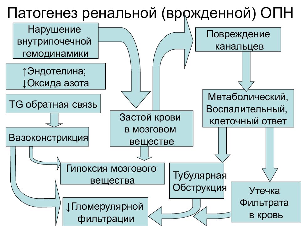 Патогенез хпн схема