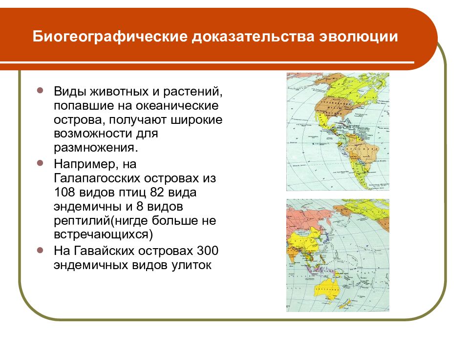 Биогеографические доказательства эволюции картинки