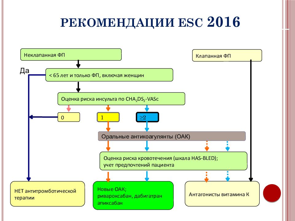 Антикоагулянтная терапия при фибрилляции предсердий презентация