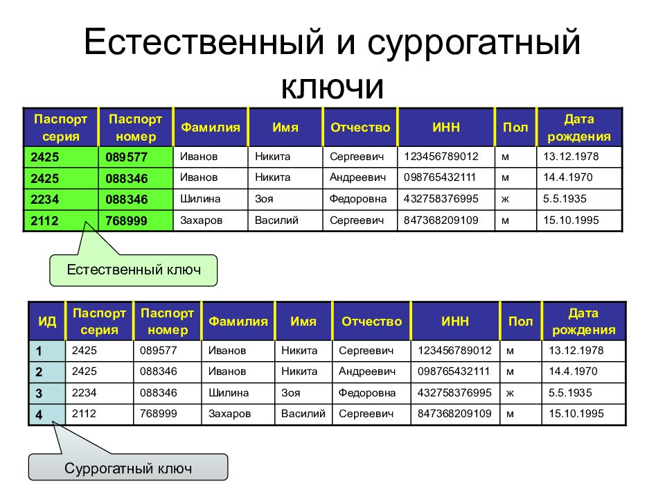 База данных презентация