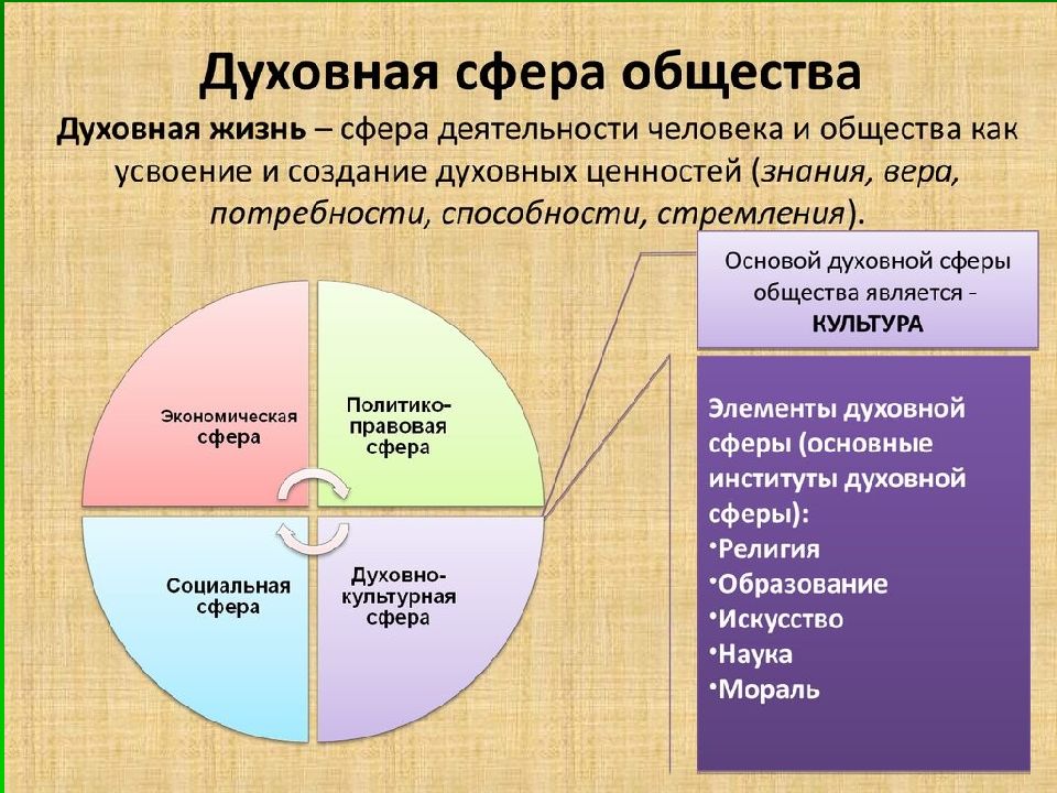 Человек приверженный тем же культурным образцам что и большинство данного общества относится к виду