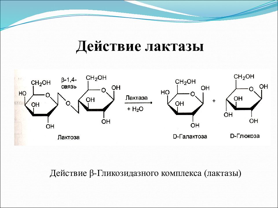 Лактаза и жиры. Β-Гликозидазный комплекс (лактаза). Бетта глигозидазнвй комплекс углеводы. Бетта Гликозидазный комплекс. Лактоза и лактаза.