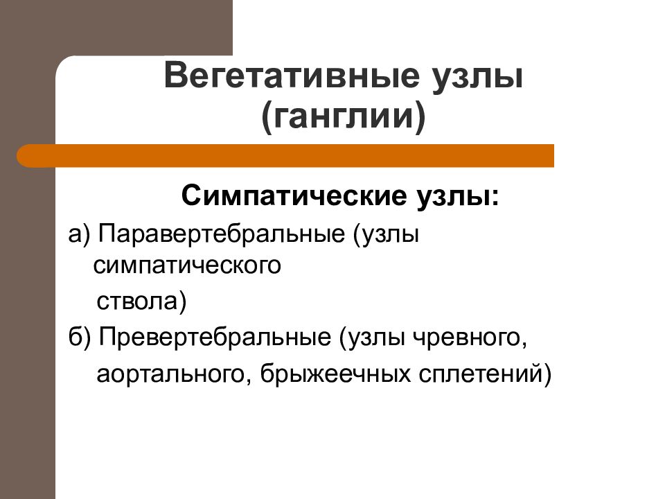 Функциональная анатомия вегетативной нервной системы презентация