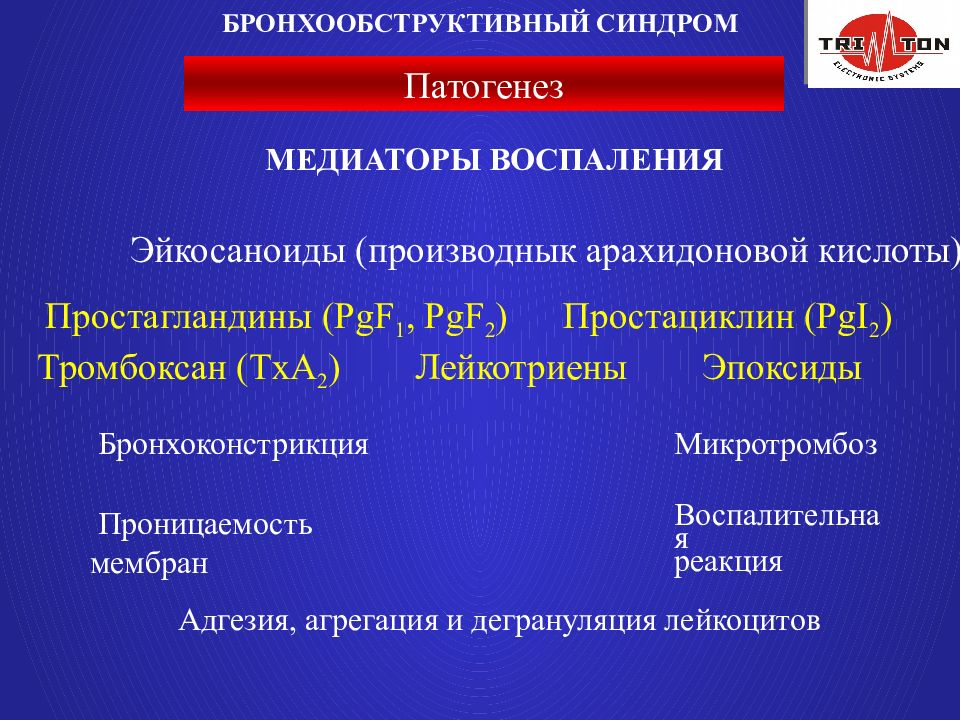 Бронхообструктивный синдром презентация