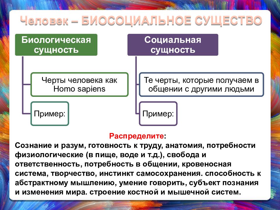 Социальная сущность человека проект