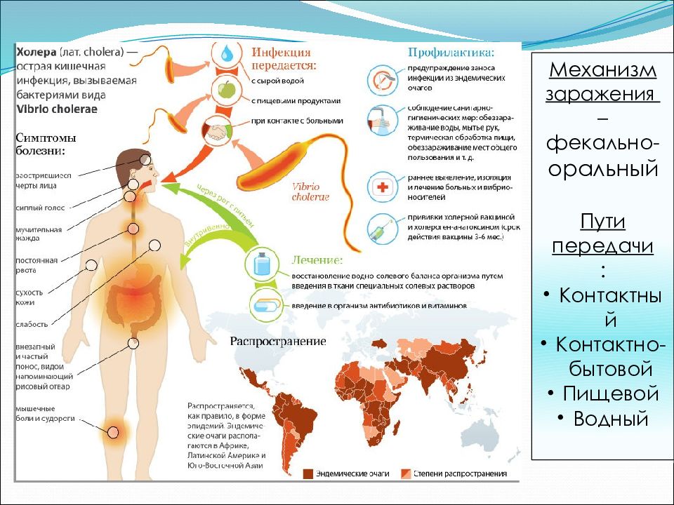 Лечение холеры