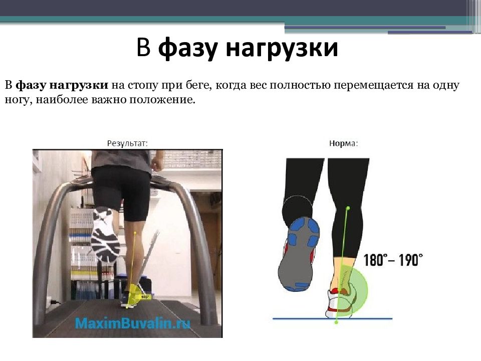 Перемещающие движения в биомеханике презентация