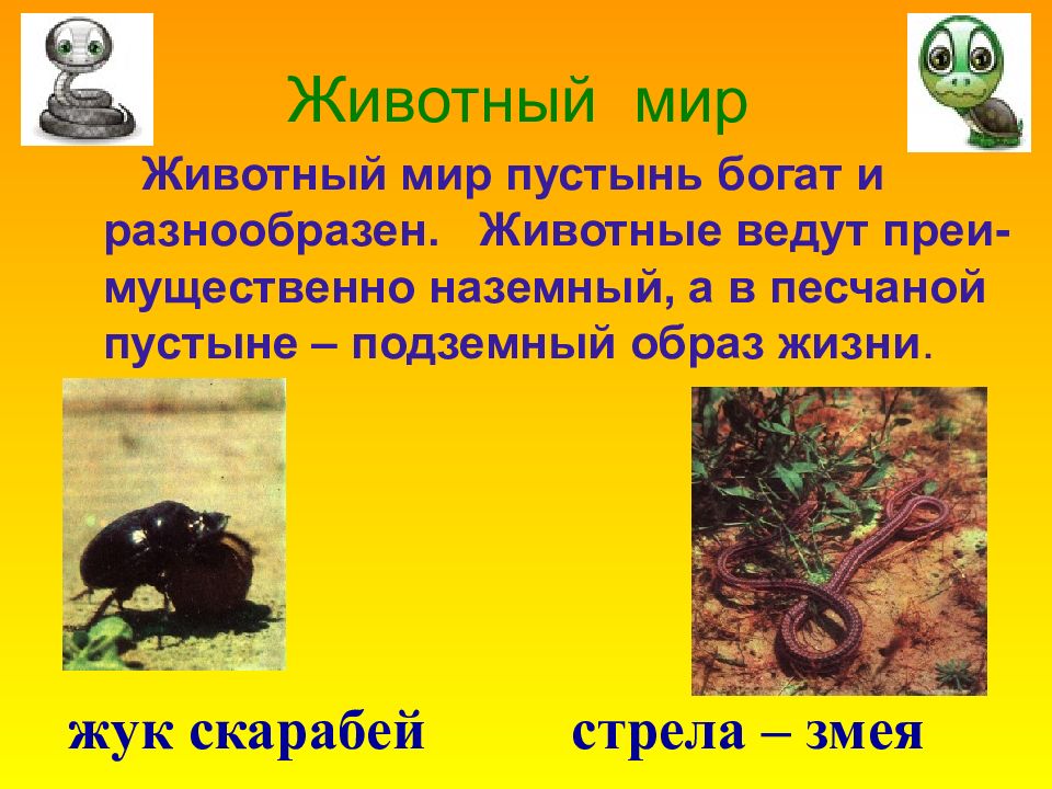 Тест зона пустыни. Доклад по окружающему миру 4 класс на тему пустыни. Пустыня презентация. Сообщение о пустыне. Рассказ о пустыне.