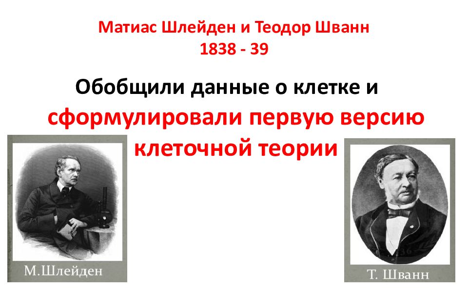 Теория шванна и шлейдена. Ученые Шлейден и Шванн сформулировали. Маттиас Шлейден 1838. Маттиас Шлейден и Теодор Шванн. 1838 Шлейден и Шванн.