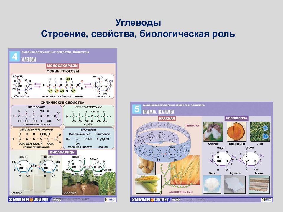 Свойства углеводов. Углеводы хим строение. Строение углеводов биология 10 класс. Строение углеводов химия. Углеводы состав и строение.