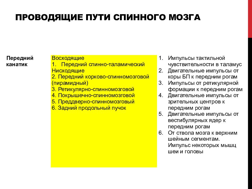 Проводящие пути спинного мозга презентация