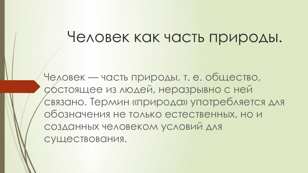 Презентация экология и безопасность обж 8 класс презентация