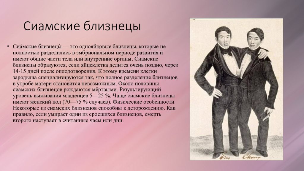 Сел вместо брата близнеца. Презентация на тему сиамские Близнецы. Презентация на тему Близнецы. Конкурс сиамские Близнецы задания. Упражнение сиамские Близнецы.