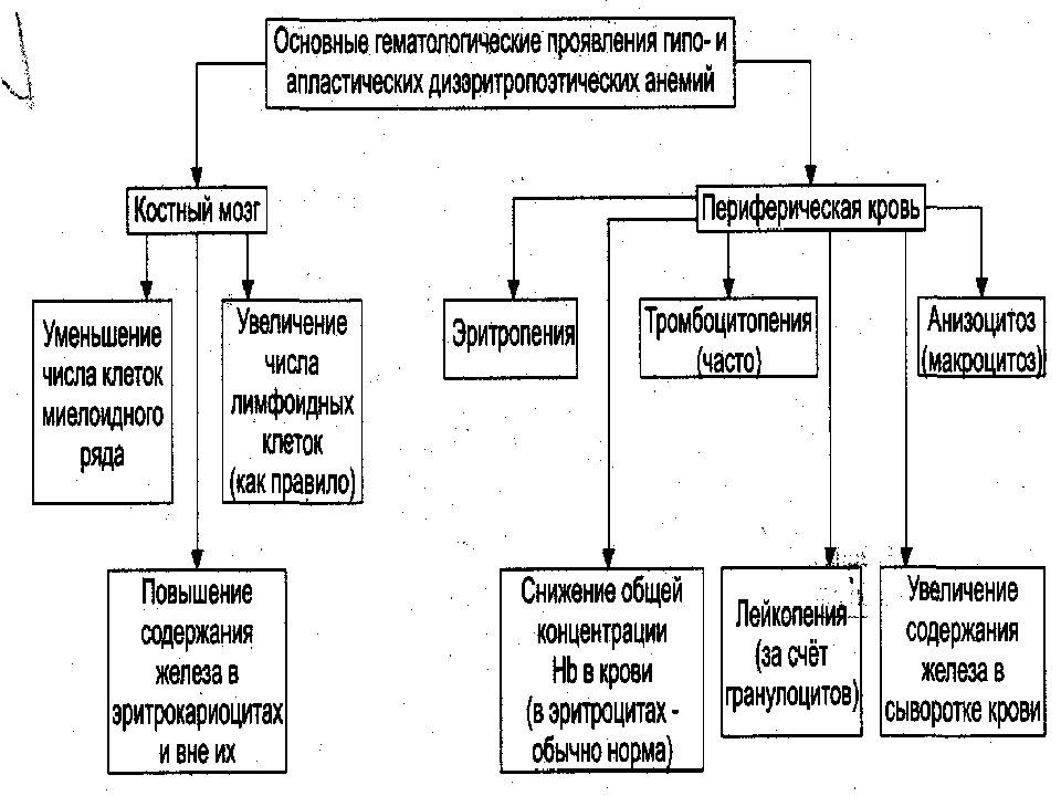 Презентация патология системы крови