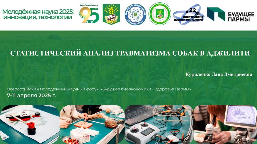 СТАТИСТИЧЕСКИЙ АНАЛИЗ ТРАВМАТИЗМА СОБАК В АДЖИЛИТИ Куриленко Дана Дмитриевна