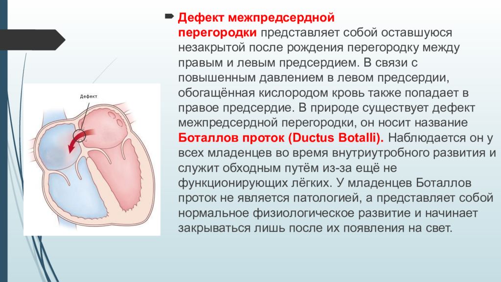 Дефект межпредсердной перегородки. Дефект межпредсердной перегородки онтогенетические предпосылки. Сетчатый дефект межпредсердной перегородки. Патофизиология дефекта межпредсердной перегородки. Эмбриогенез межпредсердной перегородки.