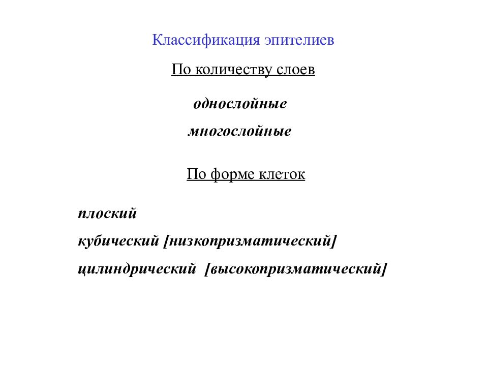 Классификация эпителиев По количеству слоев однослойные многослойные По форме
