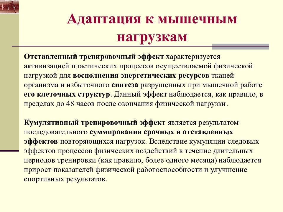 Анатомо физиологические основы мышечной деятельности презентация