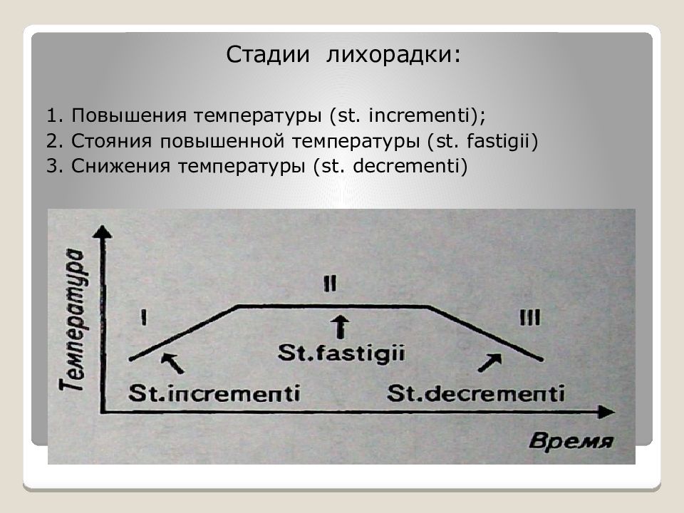 Стадии лихорадки