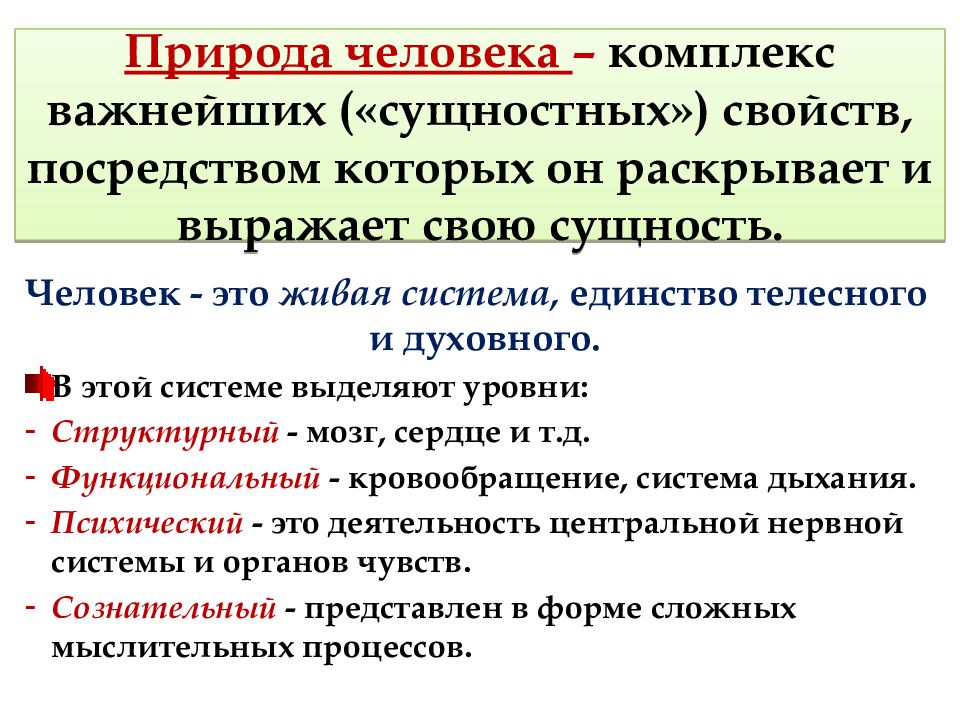 Проблема происхождения и сущности человека