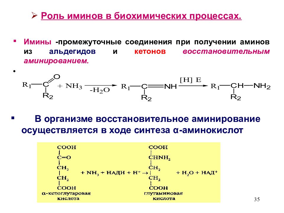 Заполните пропуски в схемах биохимических реакций с участием воды а жировой обмен