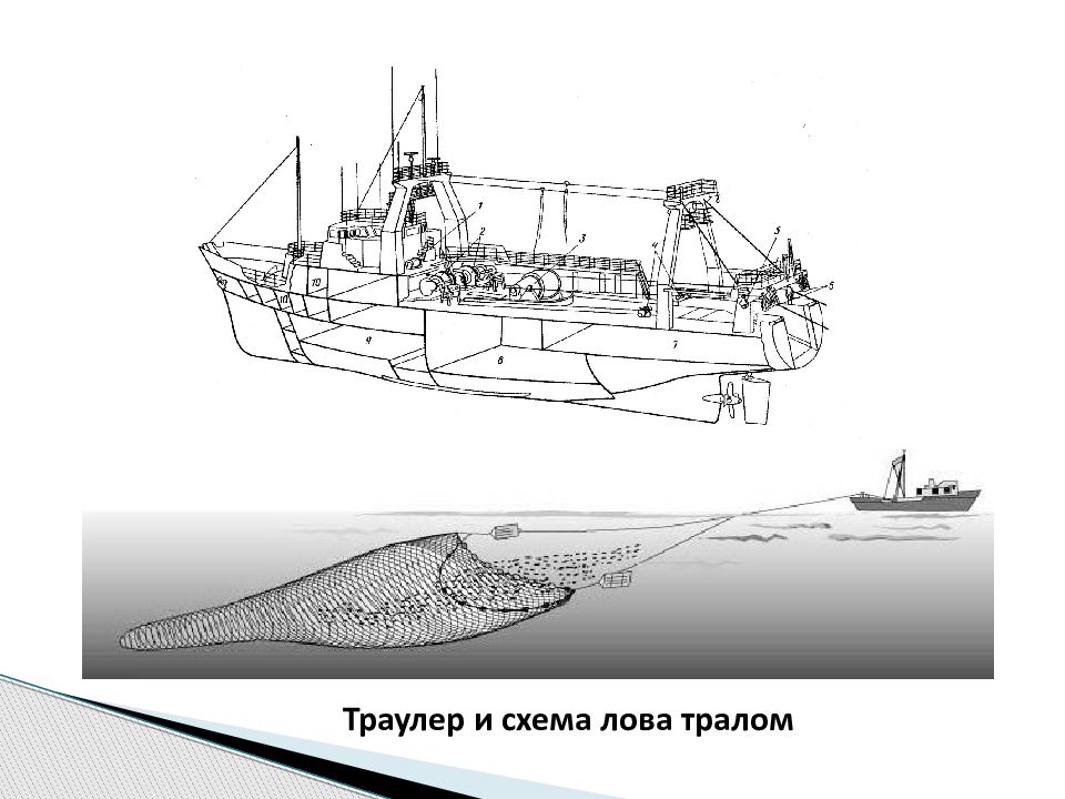 Как ловят тралом схема