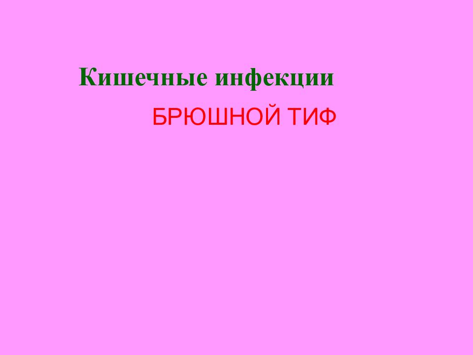 Брюшной Тиф