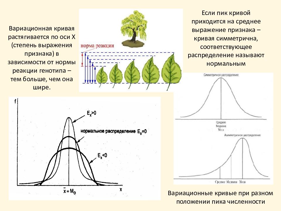 Рассмотрите рисунок составьте вариационную кривую распределения числа пятен