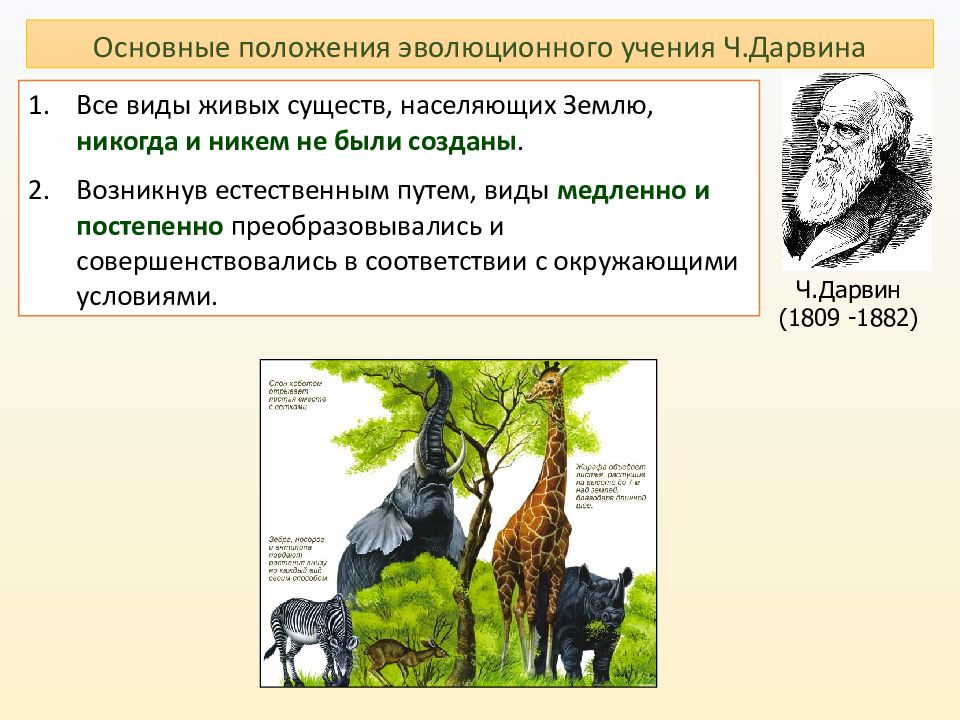 Учение дарвина о естественном отборе 9 класс презентация