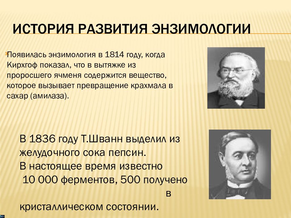 Катализаторы белковой природы. Энзимология. Энзимология биохимия. История развития энзимологии. Основные направления энзимологии.