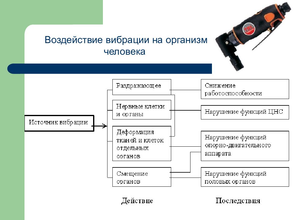 Виды воздействия на организм. Действие вибрации на организм человека охрана труда. Влияние вибрации на организм человека БЖД. Влияние Бирации на организмчеловека. Воздействие вибрации на тело человека.