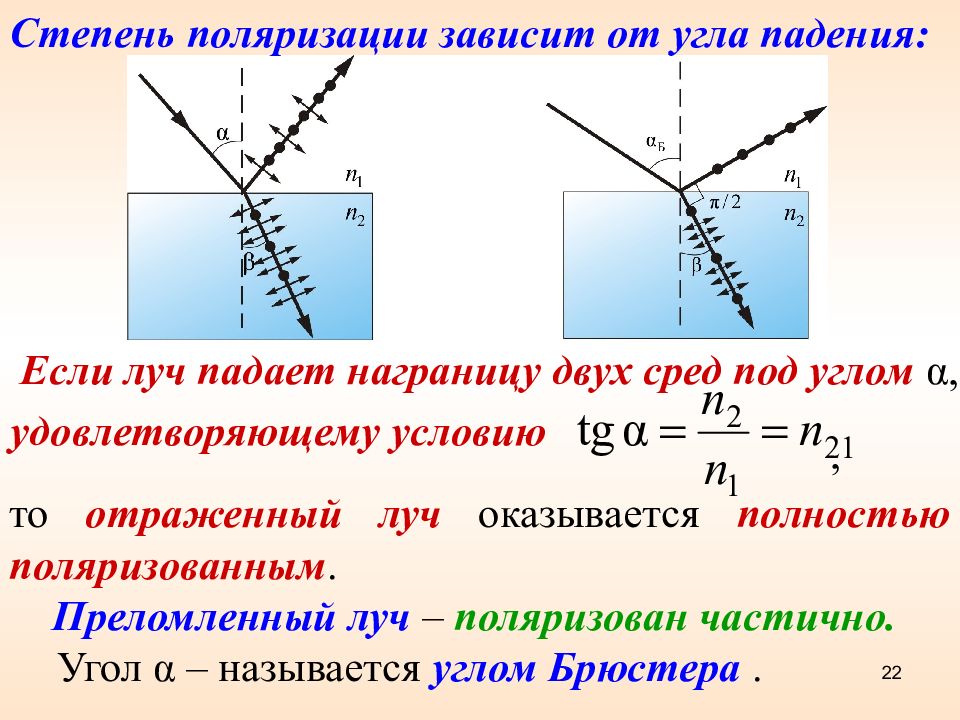 Закон брюстера имеет вид укажите на рисунке поляризацию лучей