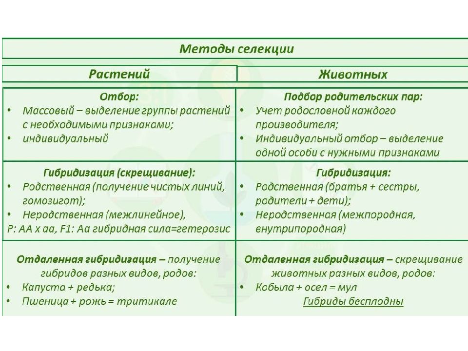 Восточная область биология 11 класс презентация