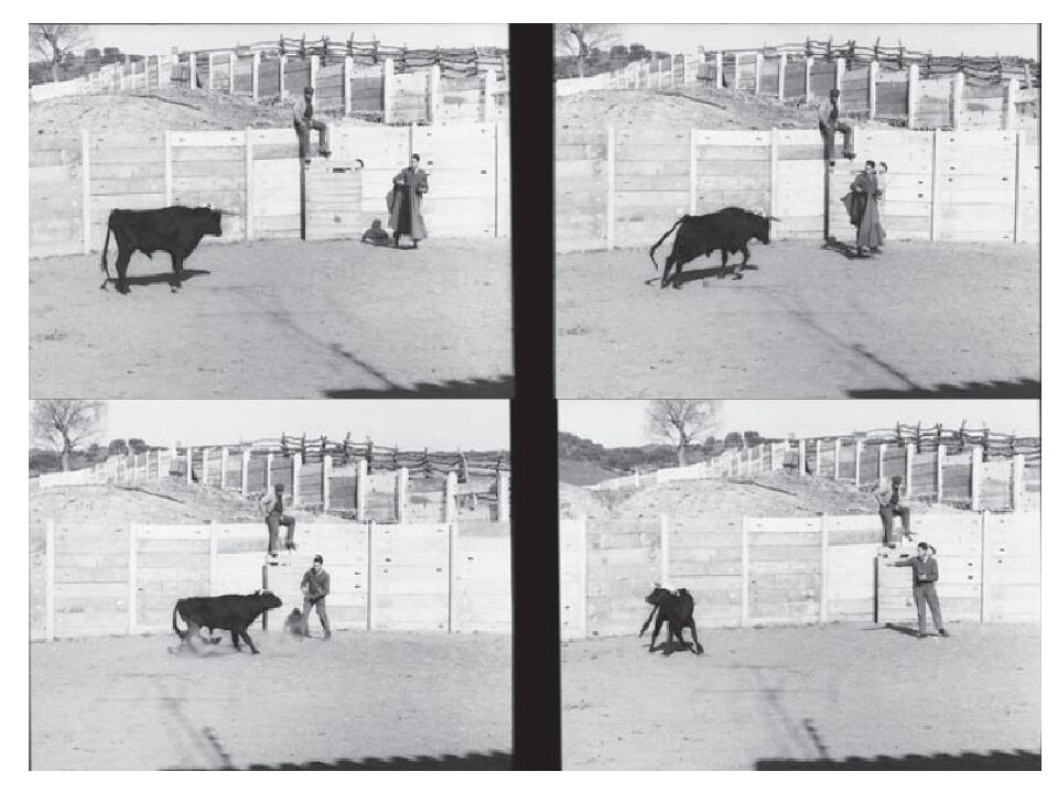 Лекция 5 Физиология нервной системы