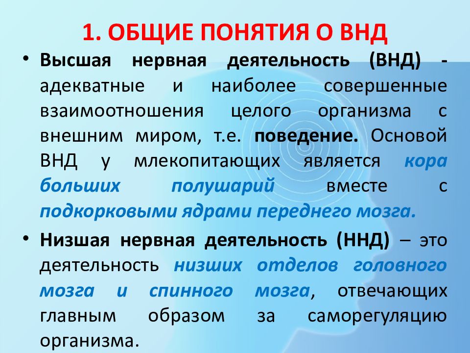 Высшая нервная деятельность физиология презентация