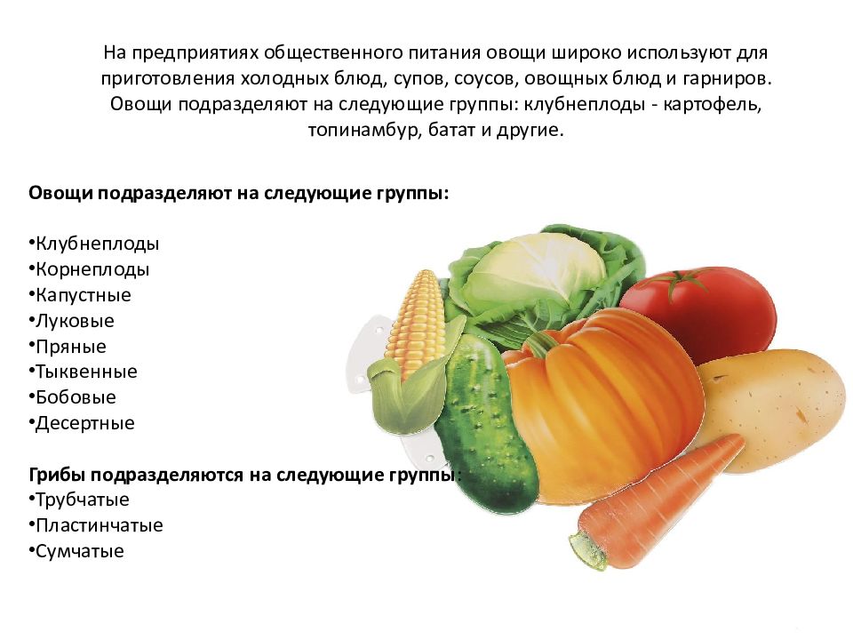 Значение овощей в питании человека. Овощи и их значение. Значение овощей в питании